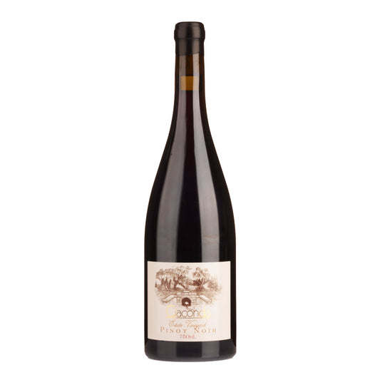 Giaconda Estate Pinot Noir 2023