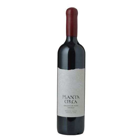 Purple Hands Planta Circa Ancestor Vine Shiraz 2018